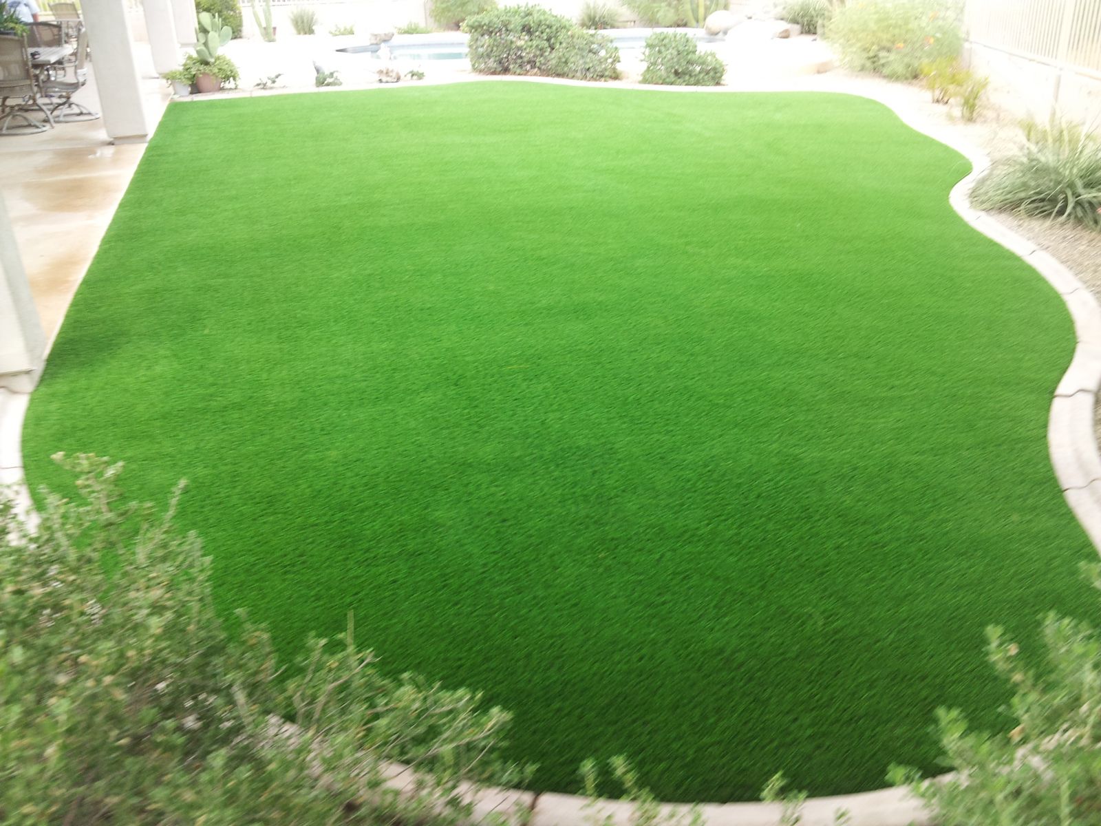 How to Preserve Artificial Turf? San Tan Valley Fake Grass