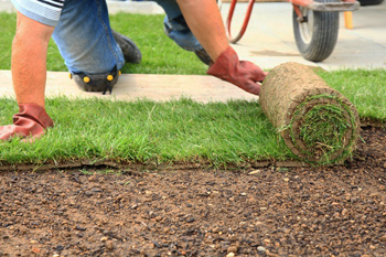 San Tan Valley Grass Installers. Garden Ideas for Fake Grass